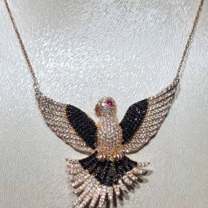 Agau img 10